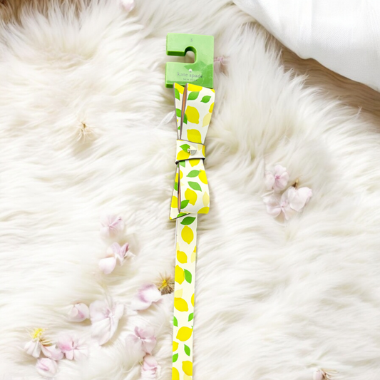 Cinturón Kate S moño