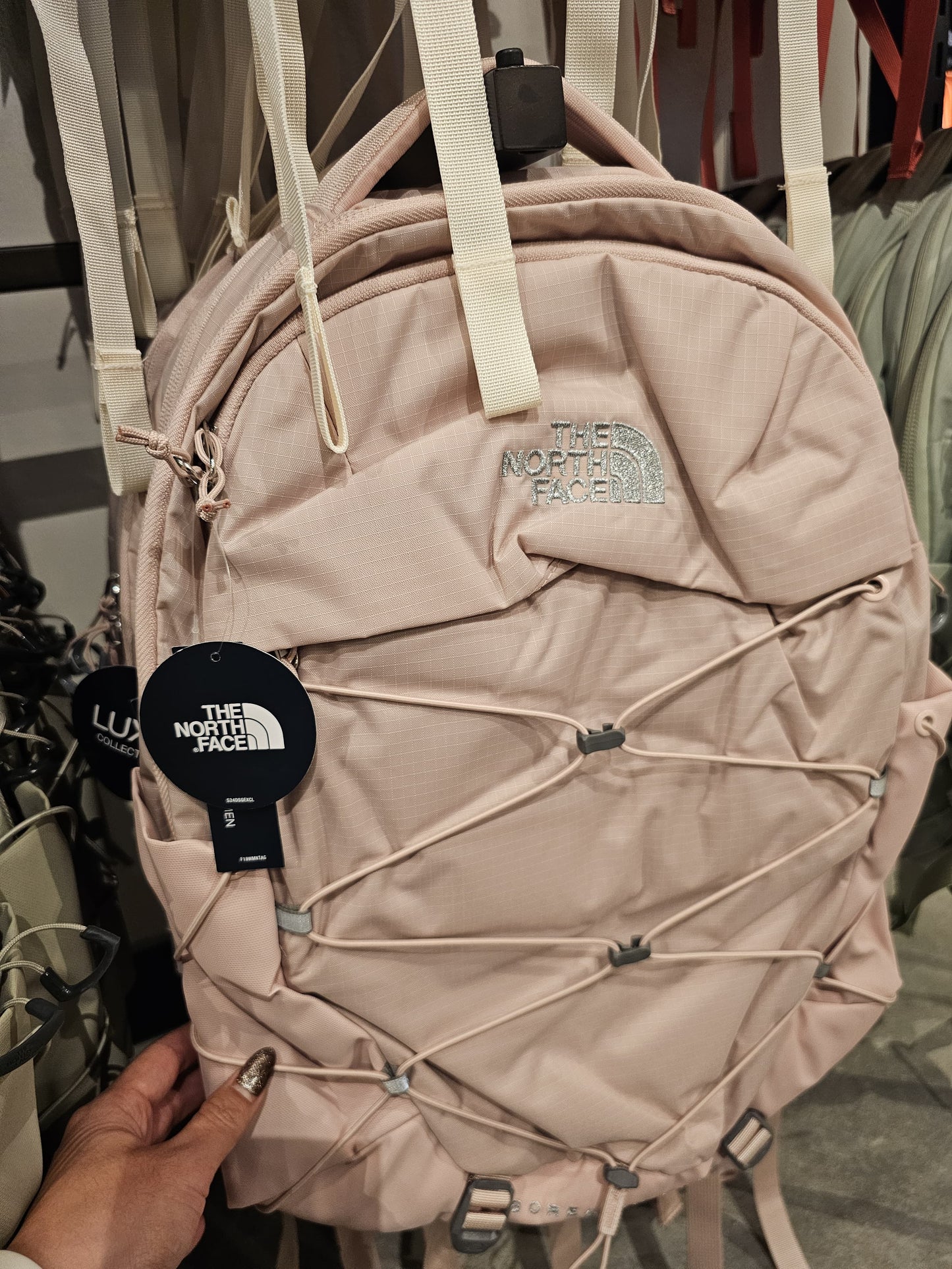 Backpack The Nort face
